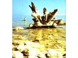 A pillar of salt at the Dead Sea, reminiscent of Lot`s wife.